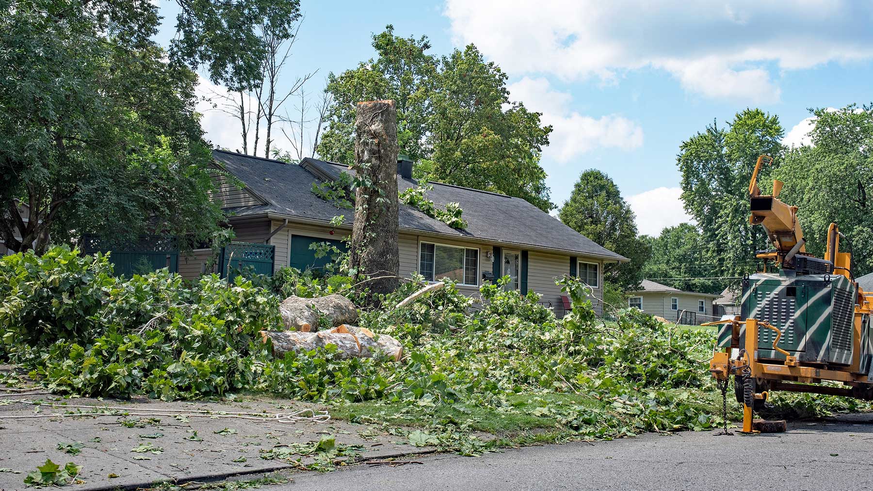Tree Service Wylie TX