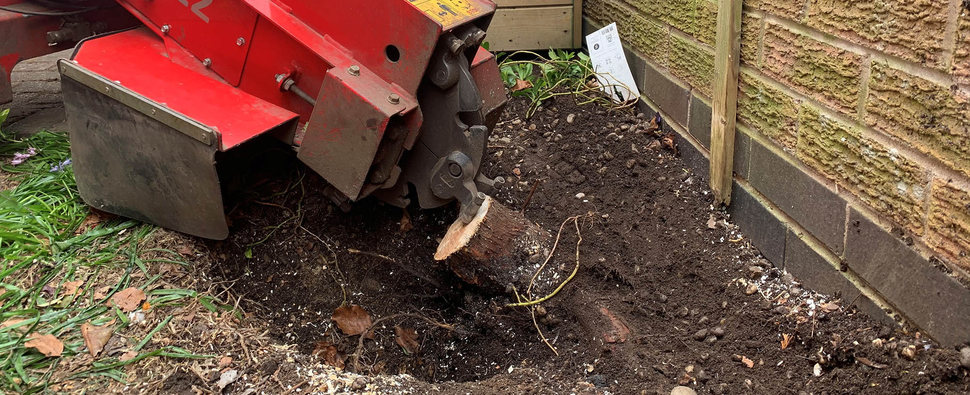 Tree Service Wylie TX